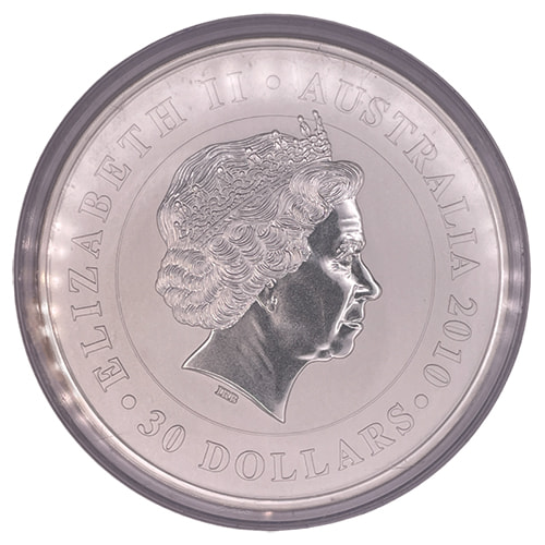 2010-kilo-australian-koala-