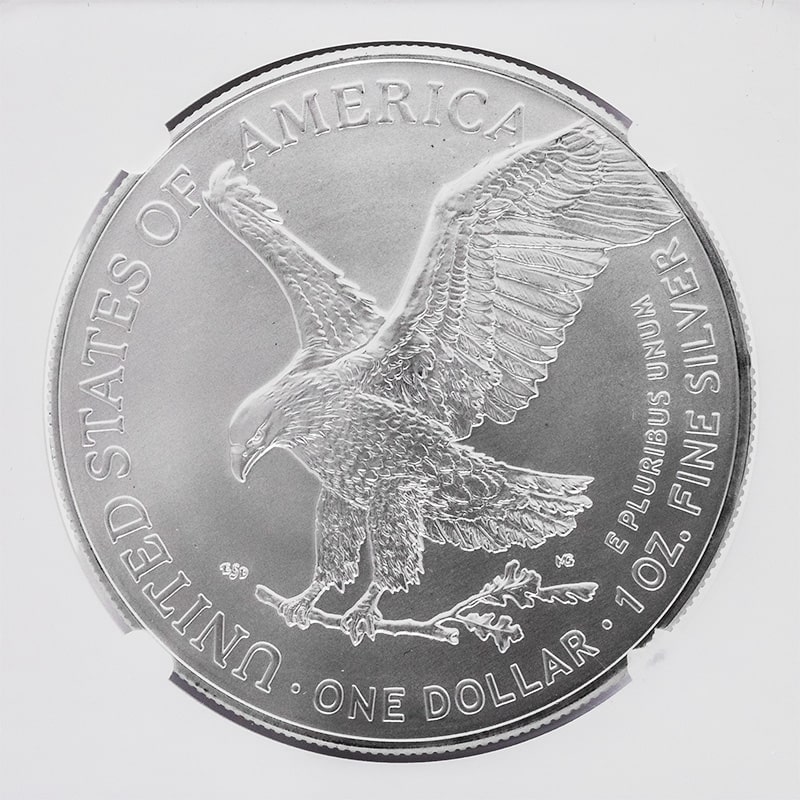 2023-silver-minterrorms69-