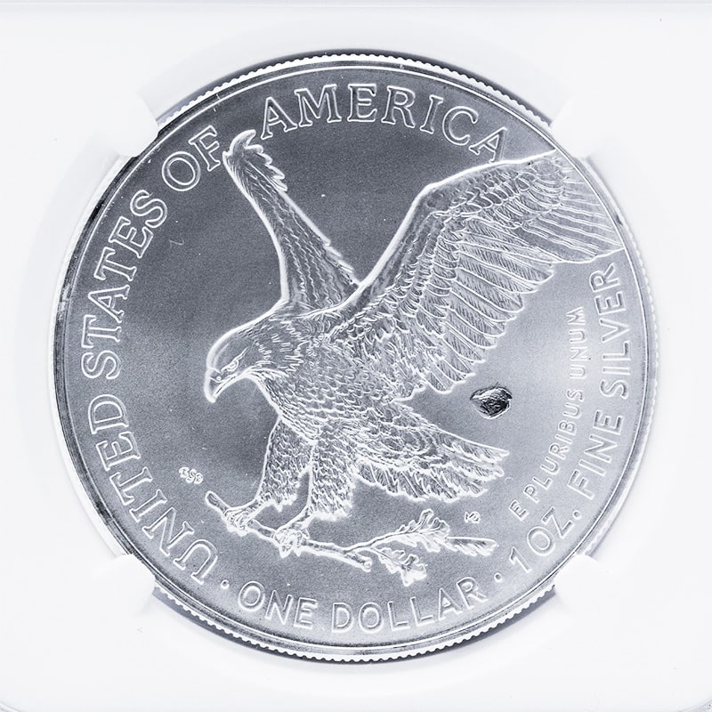 2023-silver-minterrorms69-