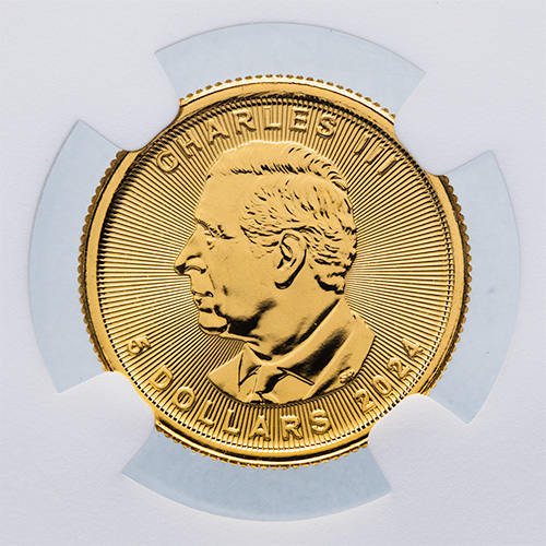 2024-mapleleaf-polarbear-privy