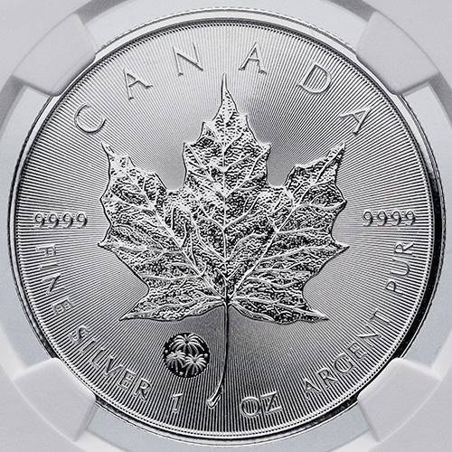 2021年 カナダ　メープルリーフNGC MS69 6549874-072 Buy NGC MS-69 2024 1/10 oz Canadian Gold Maple Leaf Coin - Polar