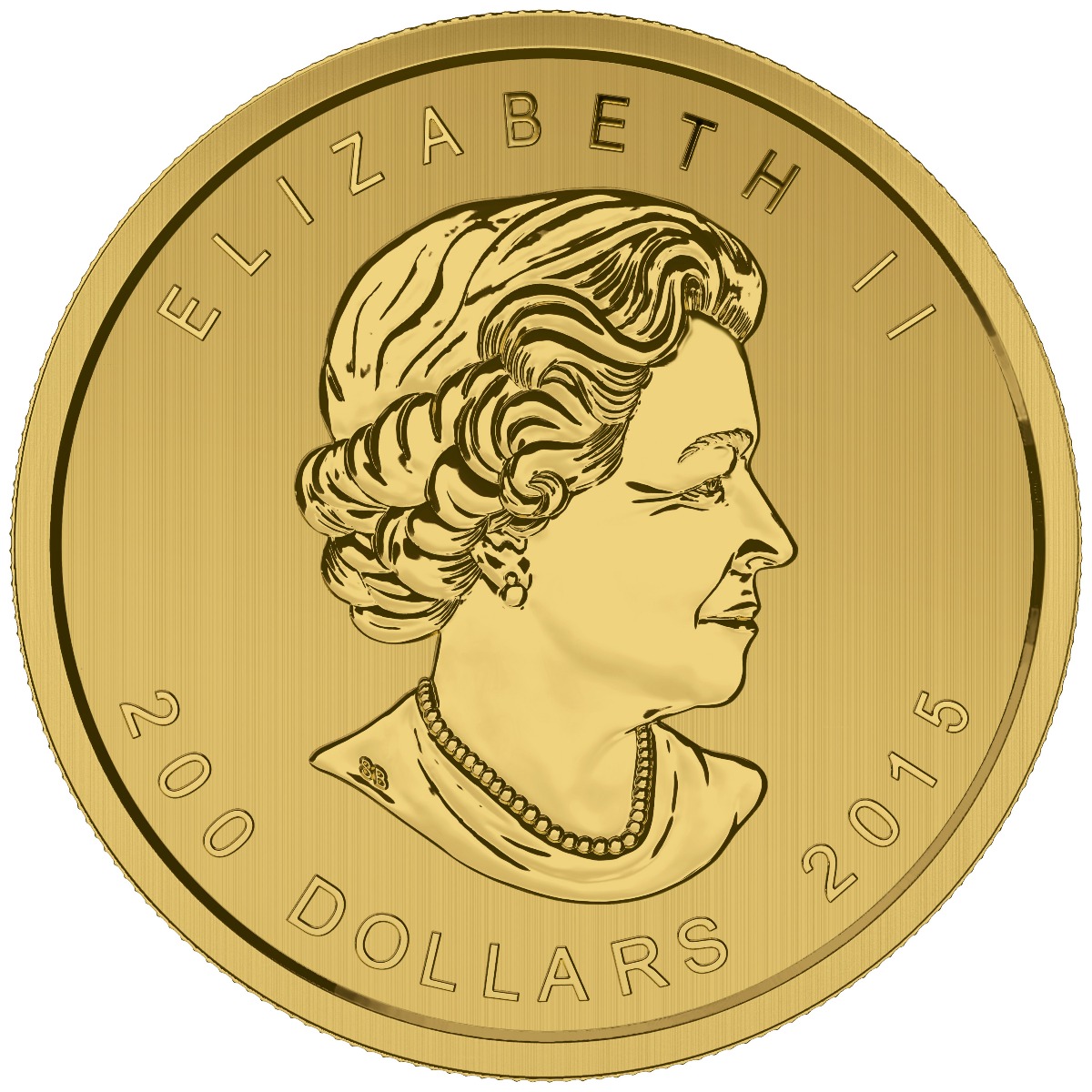 cougarobverenv.jpg