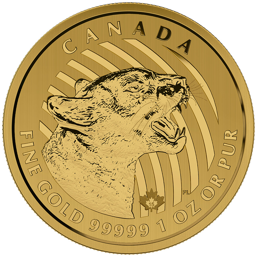 2015 High Relief Gold Coins