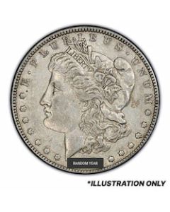 Pre-1921 Morgan Dollar Silver Coin XF