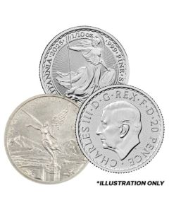 1/10 oz Silver Coin - Design Our Choice