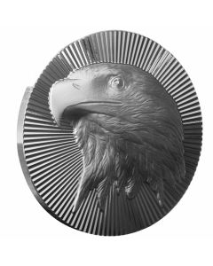 1 oz Scottsdale Silver Eagle Stacker Round