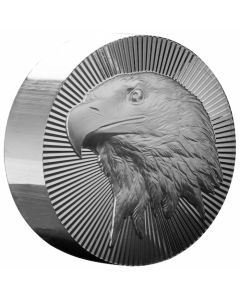 5 oz Scottsdale Silver Eagle Stacker Round