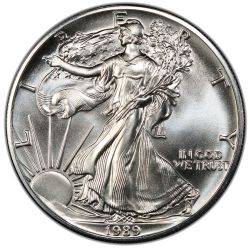 1989 American Silver Eagle Coin