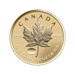 2015 1/10th oz Canadian Gold Maple Leaf Coin - Theory Of Relativity Privy Reverse Proof