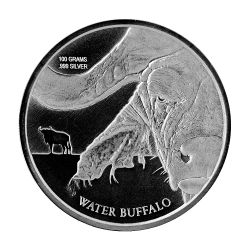 2017 Congo Water Buffalo Silver Coin 100 Gram