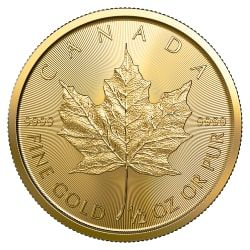 Buy 2022 1/2 oz Gold Maple Leafs Coin - Free, Secure Shipping