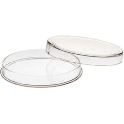 Air-Tite Case - 10 oz Queen's Beasts 
