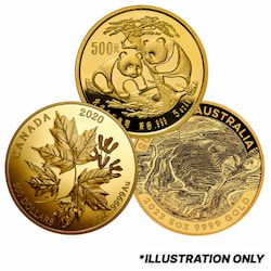 5 oz Gold Coin - Design Our Choice