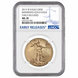 2013-W NGC MS-70 Early Releases 1 oz American Gold Eagle Burnished Coin