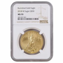 2018-W NGC MS-70 1 oz American Gold Eagle Burnished Coin