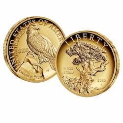 2023-W 1 oz American Liberty High Relief Proof Gold Coin