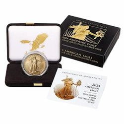 2024-W 1 oz American Gold Eagle Burnished Coin w/ Box and COA