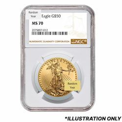 NGC MS-70 1 oz American Gold Eagle Coin - Random Year