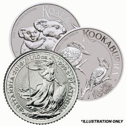 1/10 oz Platinum Coin - Design Our Choice