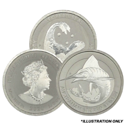 1/3 oz Platinum Coin - Design Our Choice