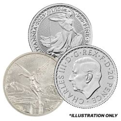 1/10 oz Silver Coin - Design Our Choice