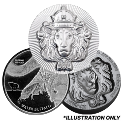 100 Gram Silver Round - Design Our Choice