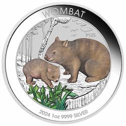 2024 1 oz Australian Wombat Colored Silver Coin in Card