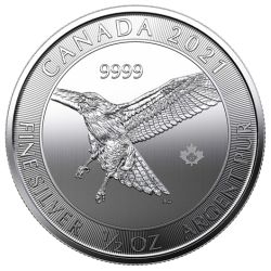 2021 1/2 oz Red Tailed Hawk Silver Coin - Birds of Prey Series
