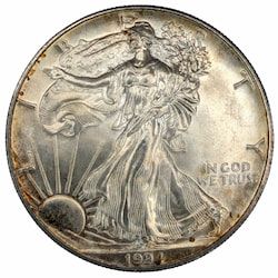 1994 1 oz American Silver Eagle Coin - Cull Condition