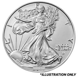 1 oz American Silver Eagle Burnished Coin - In Capsule Only - Random Year