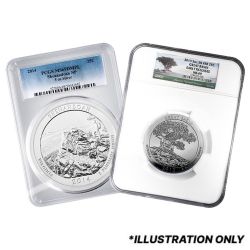 Random NGC/PCGS MS-69 5 oz America The Beautiful Silver Coin