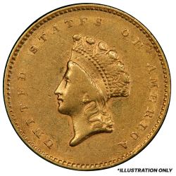$1 Indian Princess Liberty Head Gold Coin Type II XF - Random Year