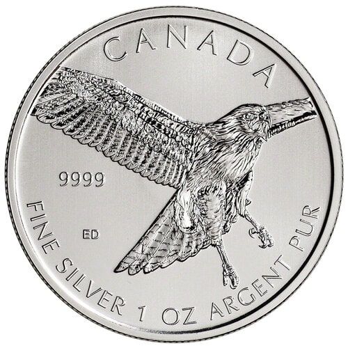 2015\u00201\u0020oz\u0020Silver\u0020Red\u002DTailed\u0020Hawk\u0020\u002D\u0020RCM\u0020Birds\u0020of\u0020Prey\u0020Series