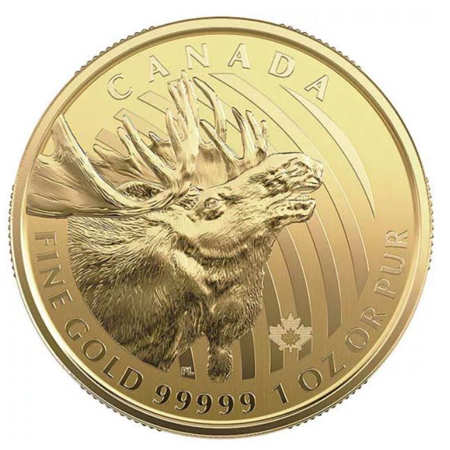 2019\u00201\u0020oz\u0020Canadian\u0020Gold\u0020Moose\u0020Coin\u0020BU\u0020\u002D\u0020.99999\u0020in\u0020Assay