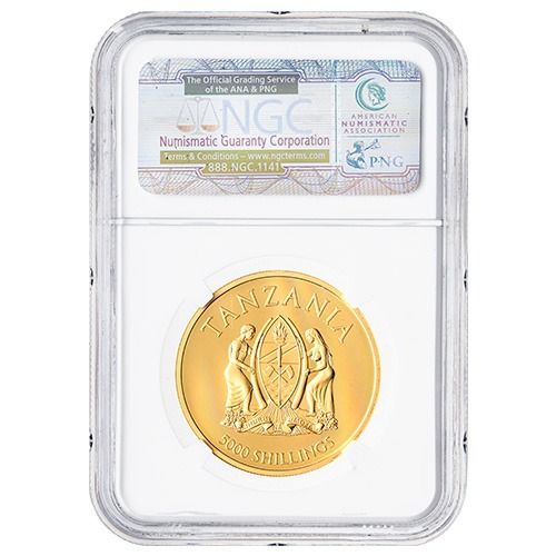 Buy 2014 NGC PF-70 1 oz Serengeti Lion Big 5 High Relief Gold Coin