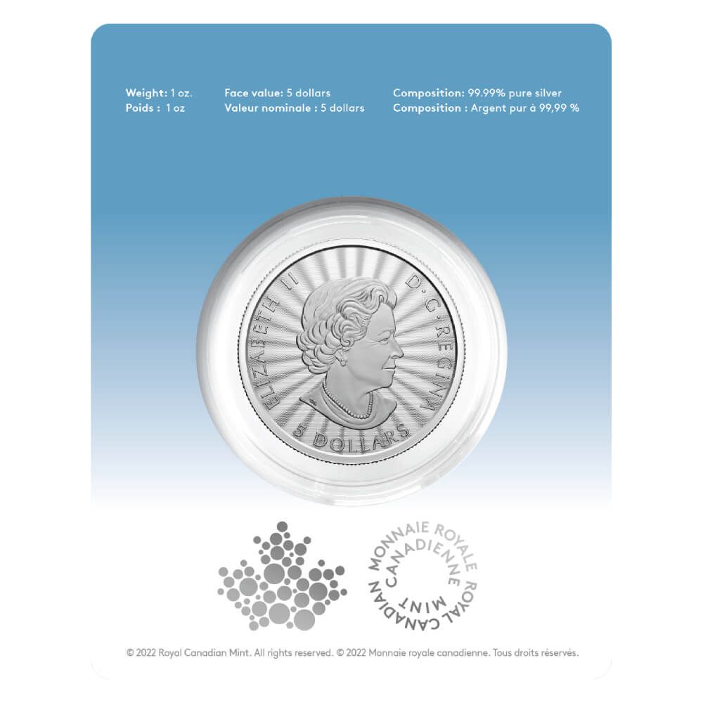 Buy 2022 1 oz Majestic Polar Bear Silver Coin | SD Bullion