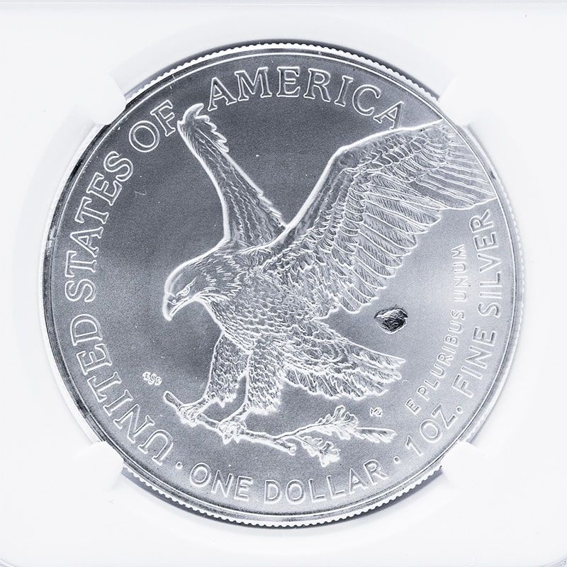 2023-silver-minterrorms69-