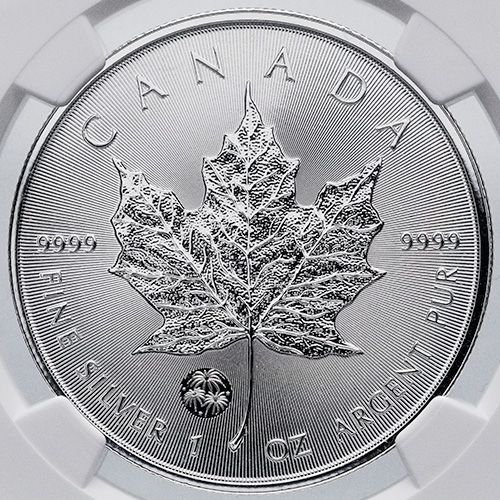 La Prairie ＳＣアイコンセントレート Buy NGC MS-69 2024 1 oz Canadian Silver Maple Leaf Coins