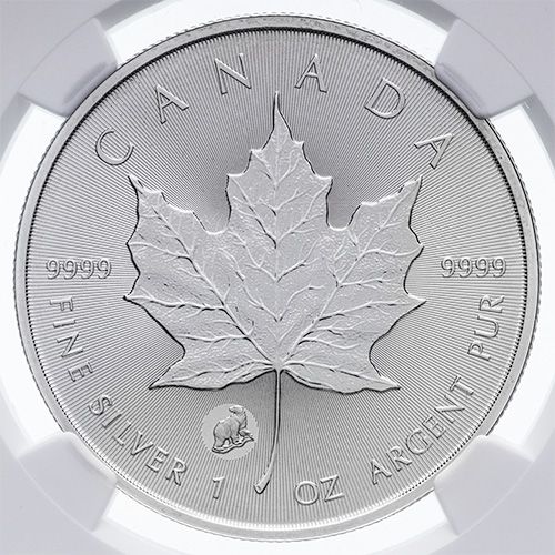 銀貨 2022 Canada Maple Leaf MS69 a NGC MS 69 2022 CANADA MAPLE LEAF 9999 FINE SILVER 1 OZ $5
