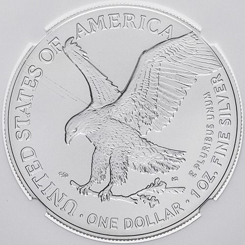 NGC MS69 2024 S50P 1/4オンス .999シルバー ブリタニア NGC MS69 2024 S50P 1/4オンス .999 シルバー UNC イギリス