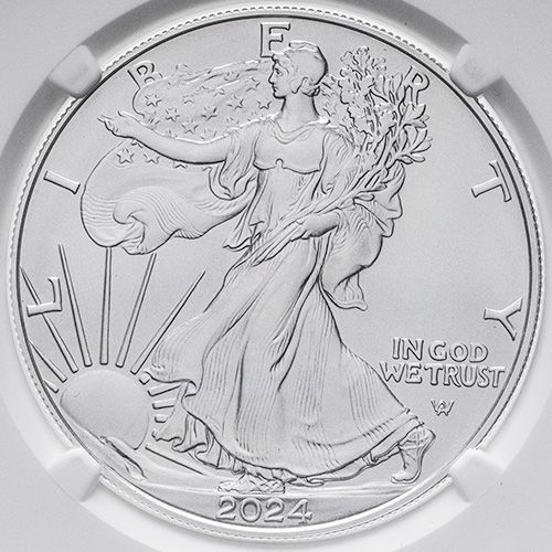 NGC MS69 2024 1/10オンス .999シルバー ブリタニア NGC MS69 2024 1/10オンス .999シルバー ブリタニア - メルカリ