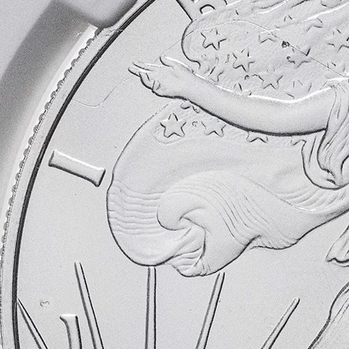 Buy NGC MS-69 2024 1 oz American Silver Eagle Coin (Error