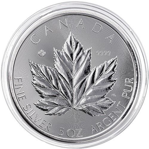 Buy 2026 5 oz Canadian Silver Grand Maple Leaf Coin Sealed Box