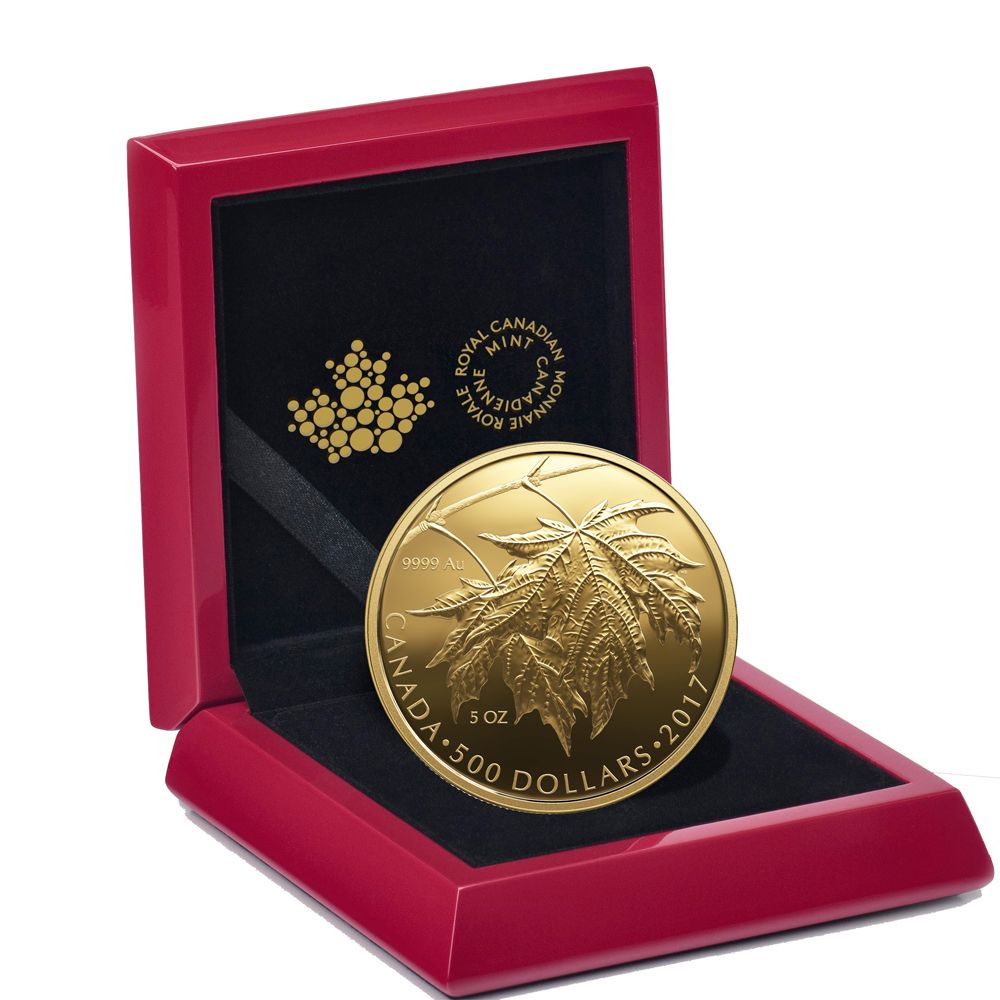 2017 5 oz Canadian Gold Maple Leaves Coin | Worldwide Mintage of