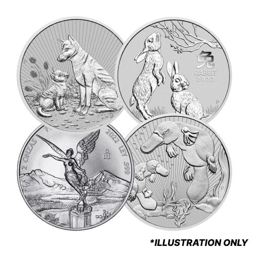 2\u0020oz\u0020Silver\u0020Coin\u0020\u002D\u0020Design\u0020Our\u0020Choice