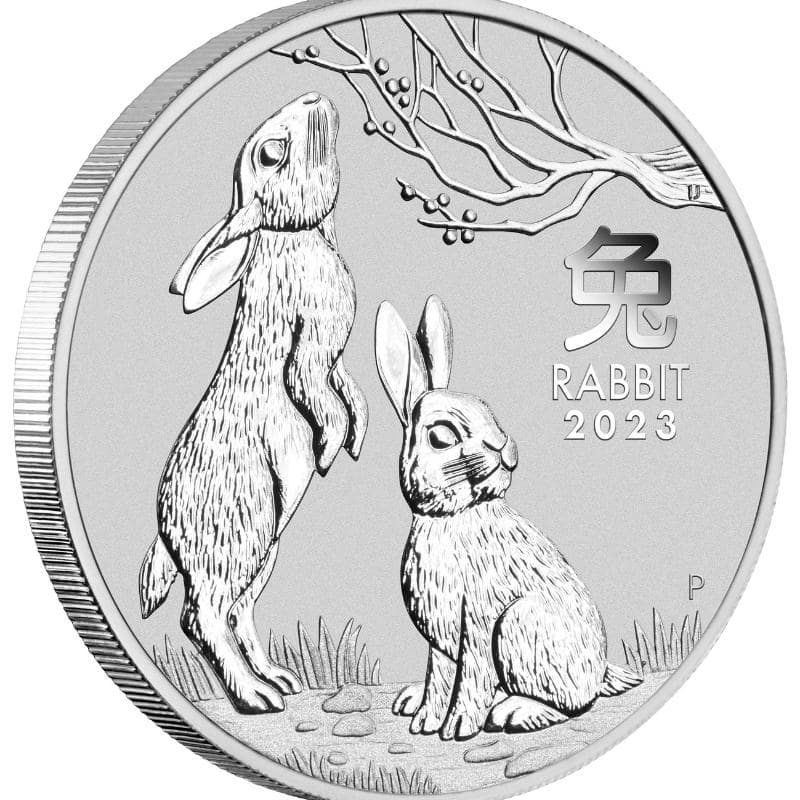 Buy 2023 1 oz Perth Mint Silver Lunar Rabbit Coin - Series III