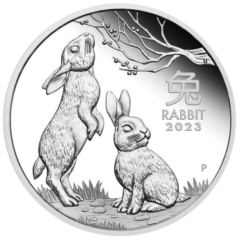 2023\u00201\u0020oz\u0020Perth\u0020Mint\u0020Silver\u0020Lunar\u0020Rabbit\u0020Proof\u0020Coin\u0020\u002D\u0020Series\u0020III