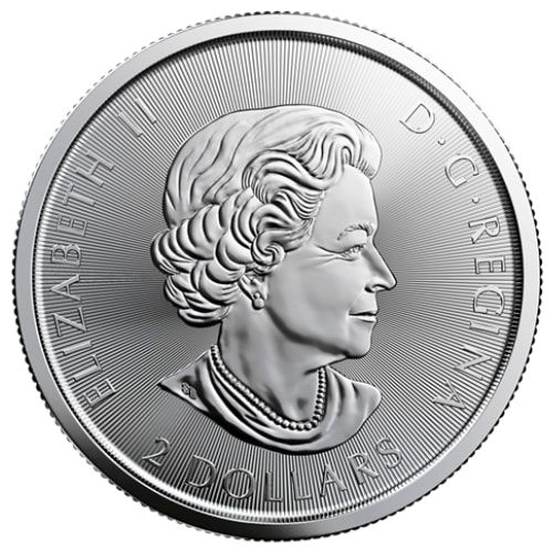 2020 1/2 oz Canadian Birds of Prey Series - Red-Tailed Hawk Silver Coin