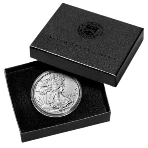 2021-W 1 oz American Silver Eagle Burnished Coin - Type 2