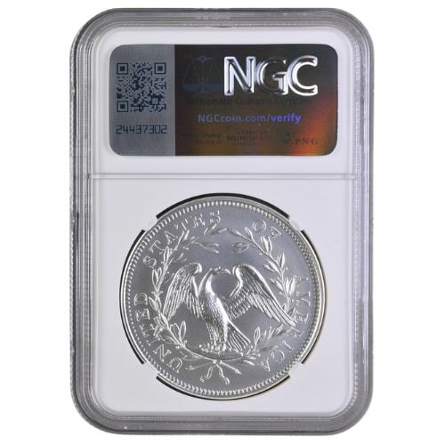 Buy 2024 NGC MS-70 1 oz US 230th Anniversary Flowing Hair Silver